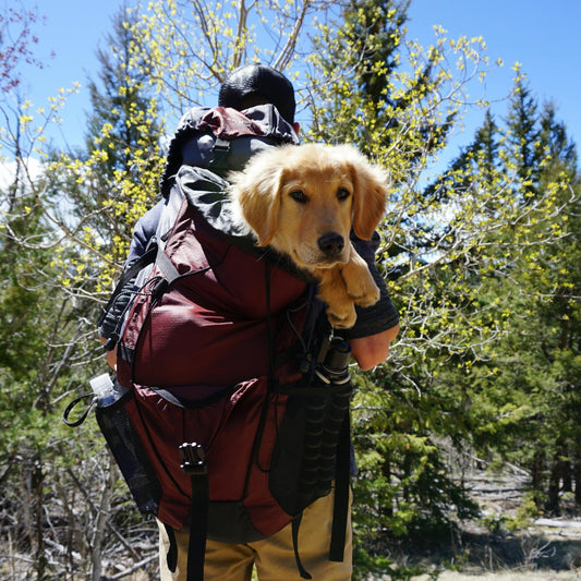 The Benefits of Hiking: Put on Those Shoes and Go Outside!